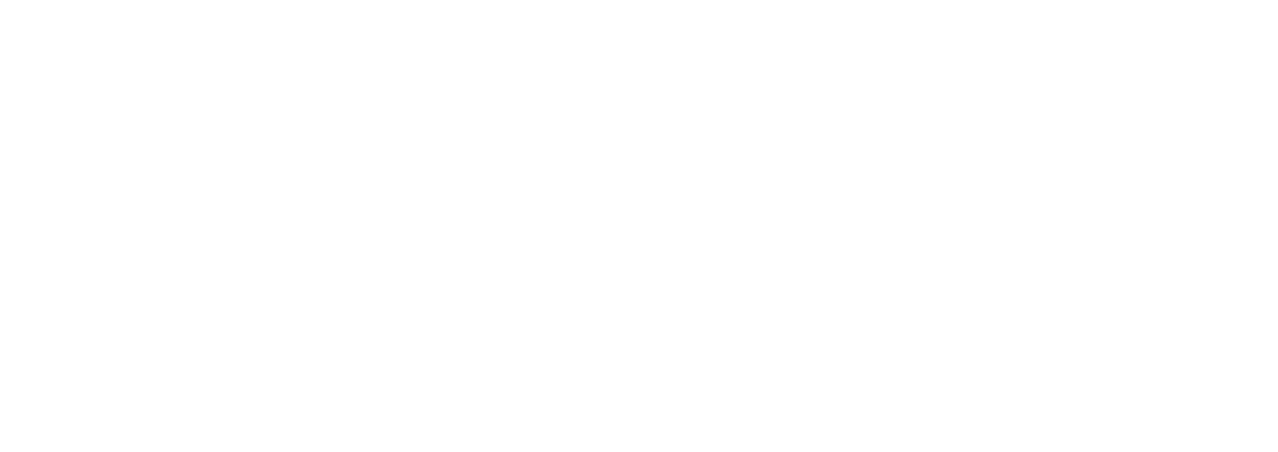 Copyright © 2025 – STREG41 ApS